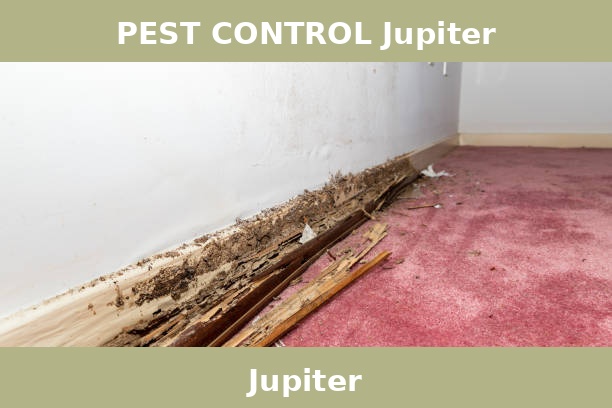 PEST CONTROL Jupiter